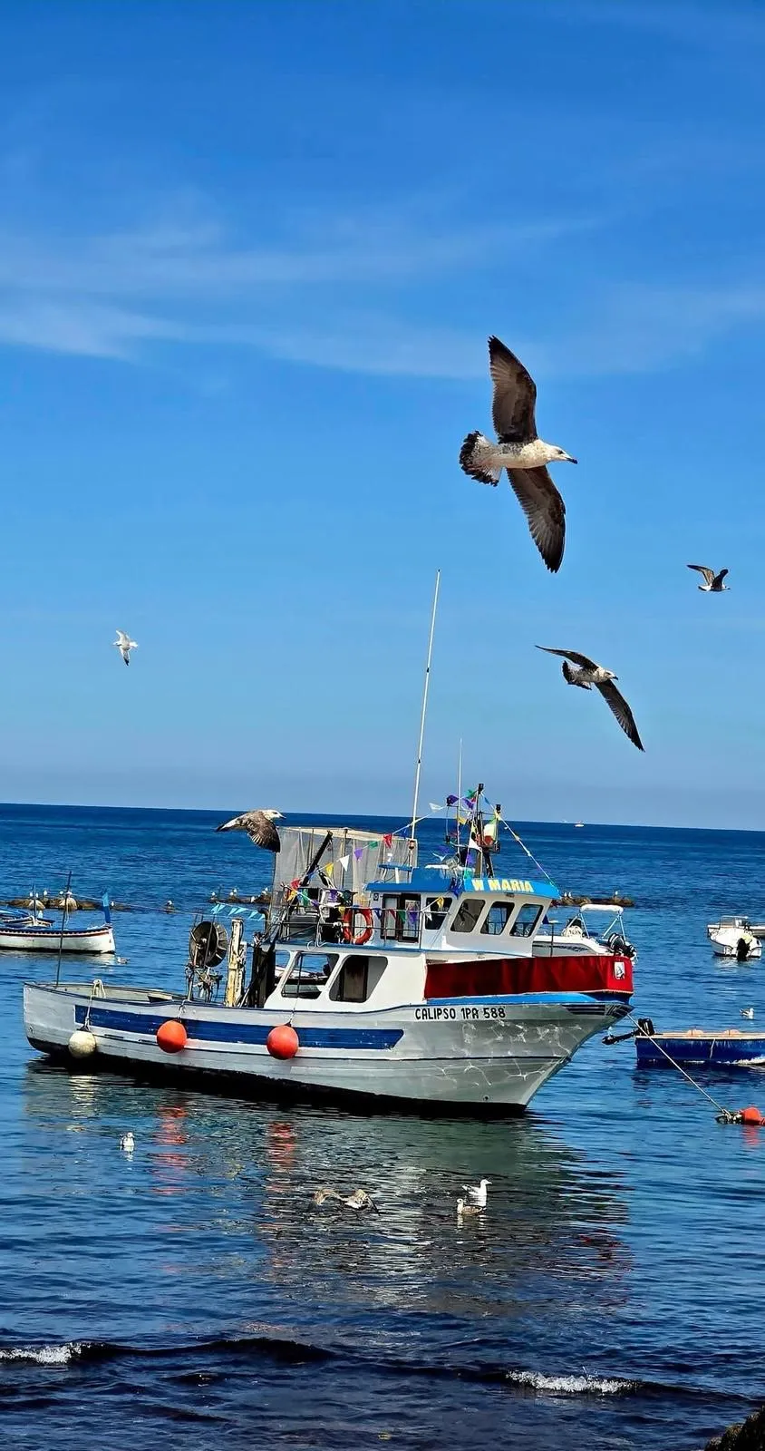 Peschereccio e gabbiani nel mare di Aspra